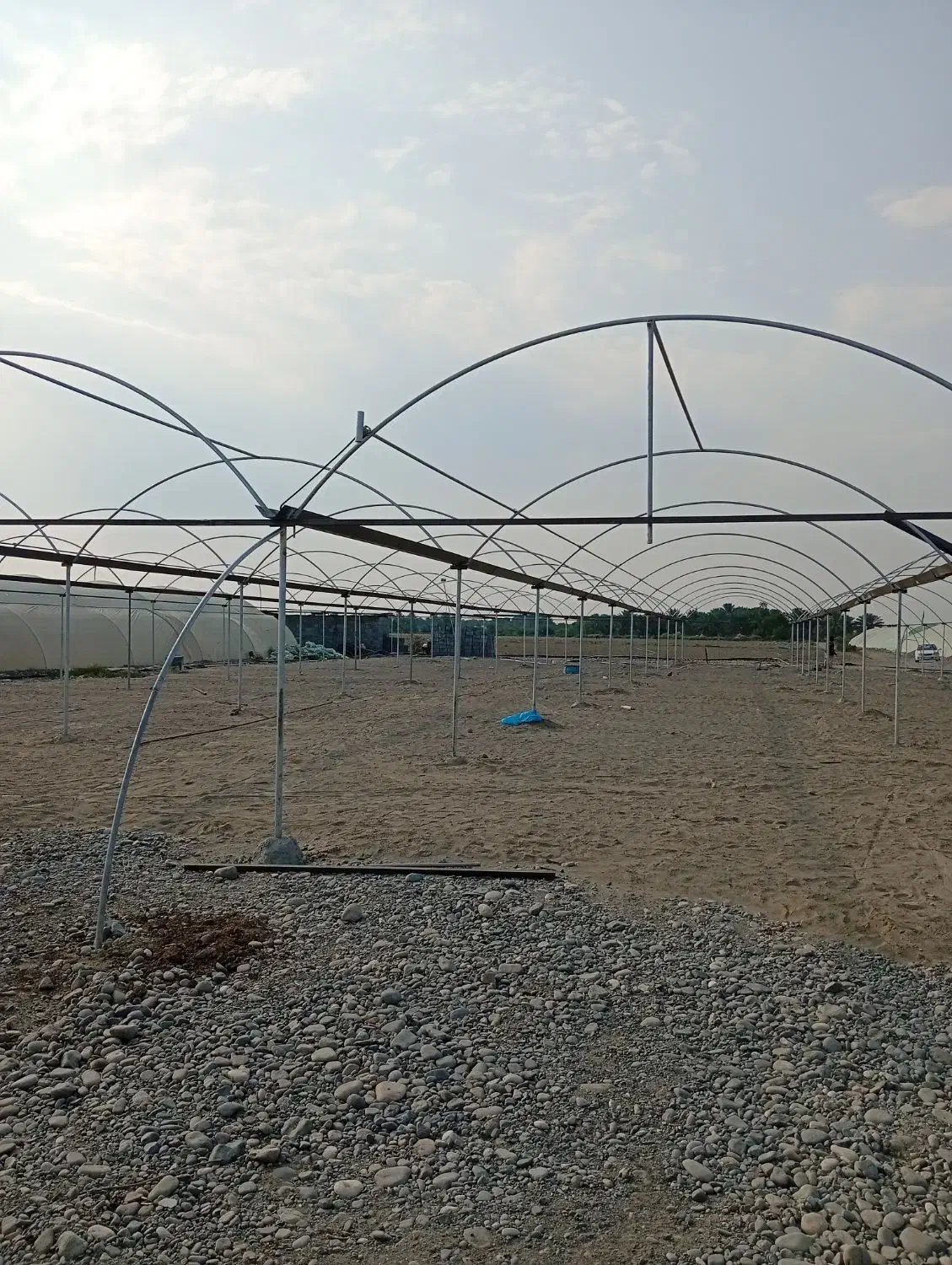 ساخت گلخانه|خدمات پیشه و مهارت|جیرفت, |دیوار