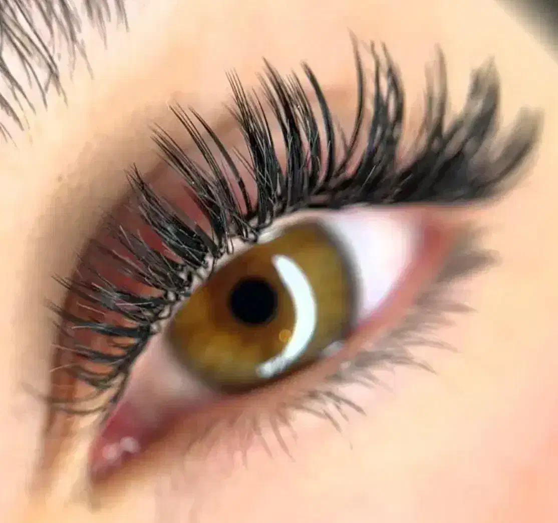 مدل رایگان کاشت مژه|خدمات آرایشگری و زیبایی|نوشهر, |دیوار