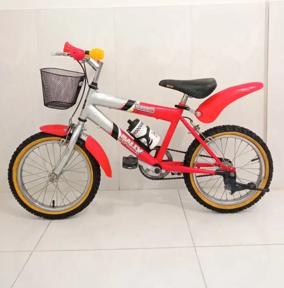 دوچرخه شماره ۱۶ مارک رالی حرفه ای بهترین جنس|دوچرخه، اسکیت، اسکوتر|بروجن, |دیوار