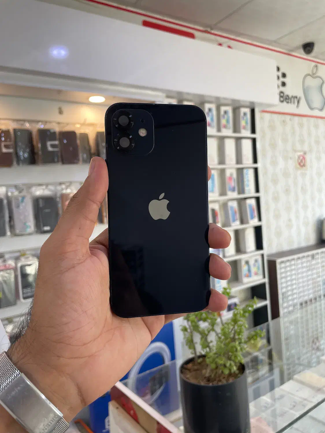 اپل iPhone 12 با حافظه 128|موبایل|زابل, |دیوار