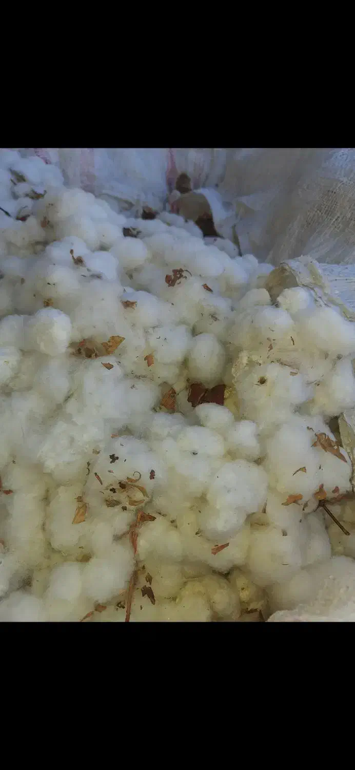 پنبه|تشک تختخواب|اسفراین, |دیوار