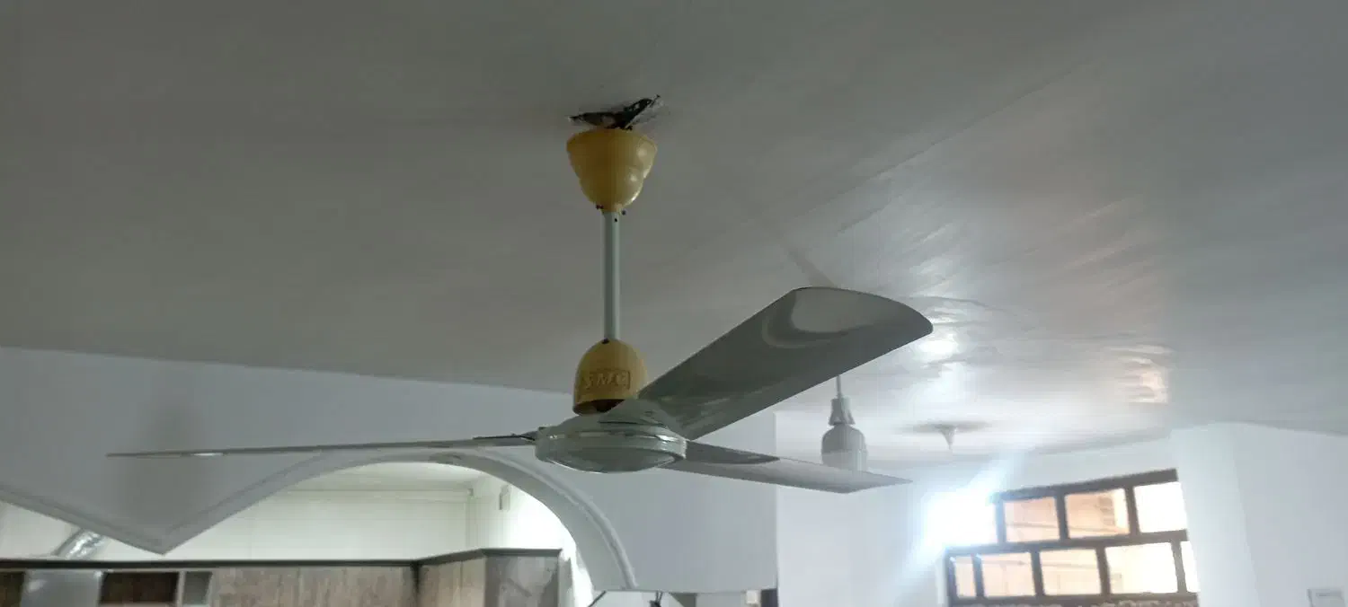 پنکه سقفی|پنکه و تصفیهکنندهٔ هوا|بندر ماهشهر, |دیوار