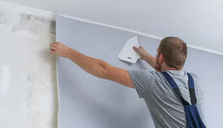 نصب کاغذ دیواری|خدمات پیشه و مهارت|شیراز, گلشن|دیوار