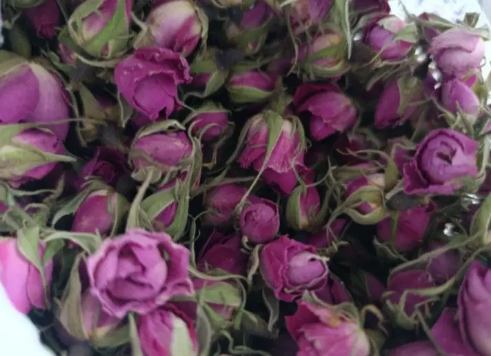 گل محمدی|گل و گیاه طبیعی|نوبران, |دیوار