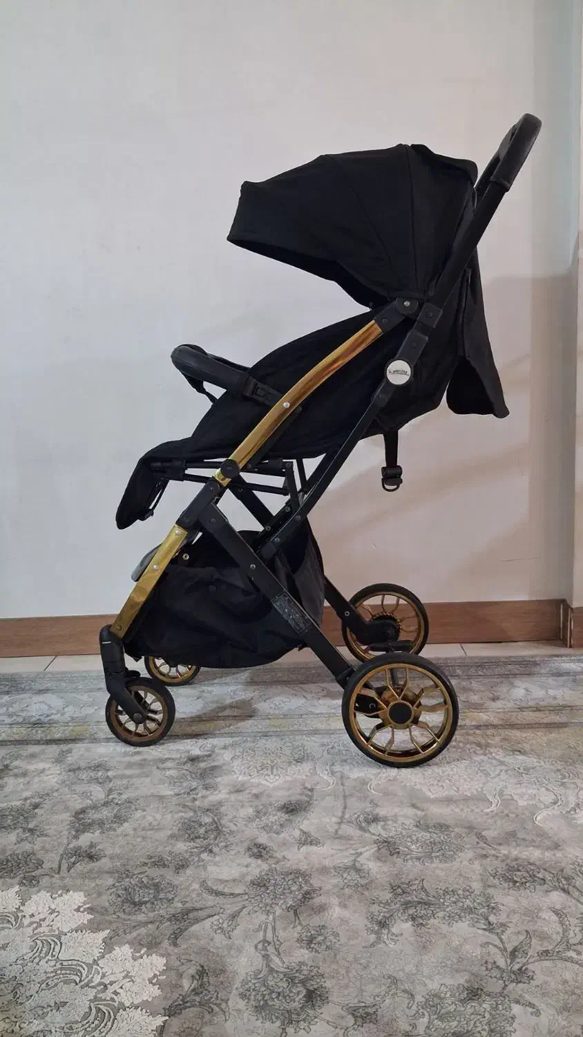 کالسکه خارجی|کالسکه و لوازم جانبی|چهارباغ, |دیوار