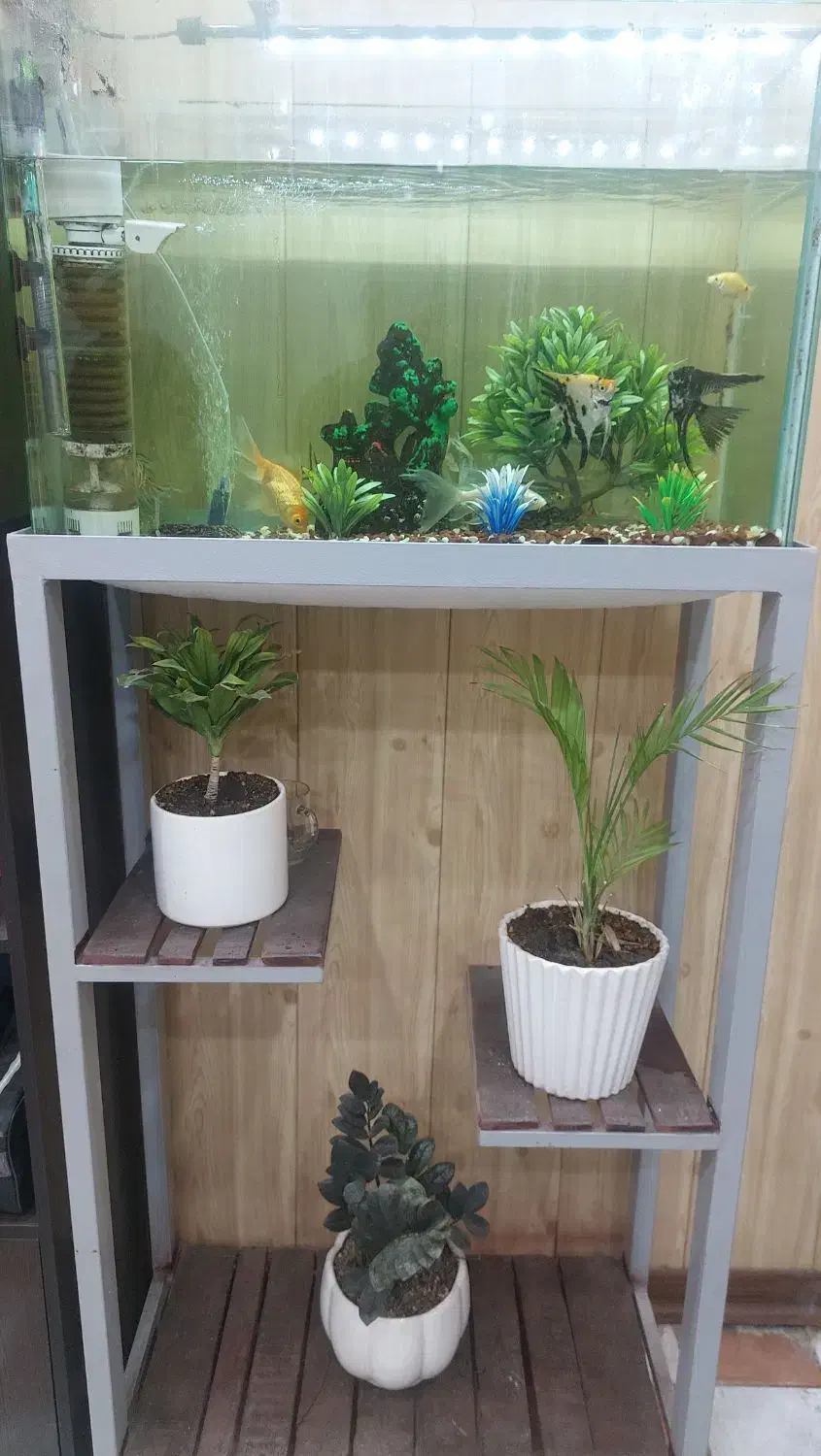 آکواریوم شیشه خم شرکتی با تمام وسایل|ماهی|میبد, |دیوار