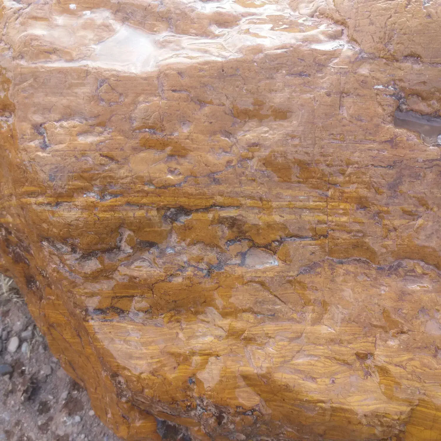 جاسپرخونی|کلکسیون و سرگرمی|شاهین دژ, |دیوار