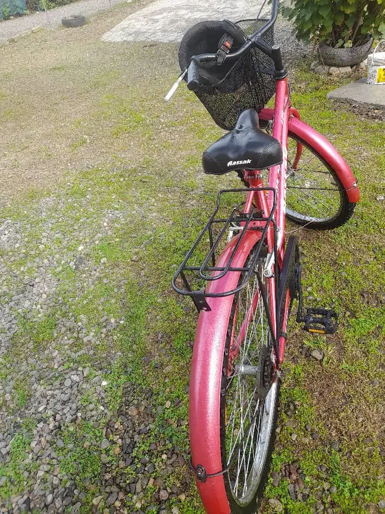 دوچرخه|دوچرخه، اسکیت، اسکوتر|شفت, |دیوار