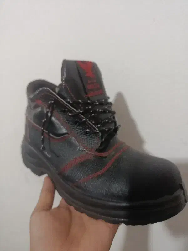 کفش کار|کیف، کفش، کمربند|پاسارگاد, |دیوار