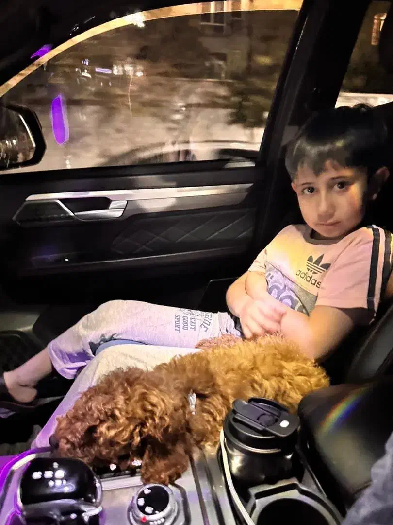 پودل نر ۳۹ میلیون|سگ|تهران, سازمان برنامه جنوبی|دیوار