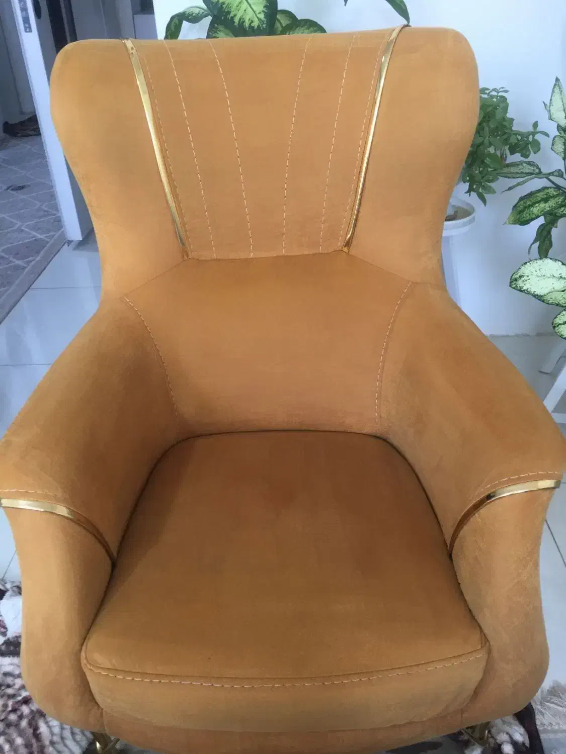 شرکت خدماتی ونظافتی مبل شویی حسینی|خدمات نظافت|مشهد, رضاشهر|دیوار