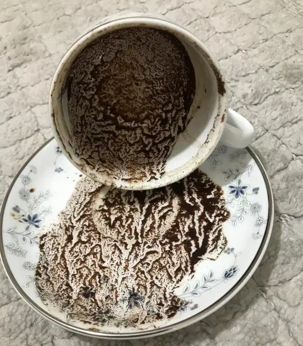 فـال موکــل دار .آیــنــده بینی .صفرتاصد|خدمات پذیرایی، مراسم|پرند, فاز ۰|دیوار