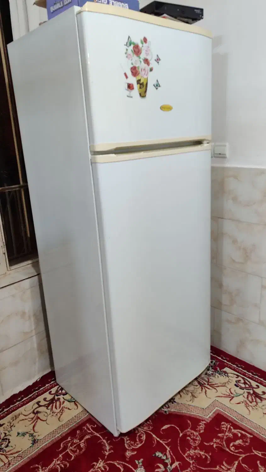 یخچال سالم مارک رگال|یخچال و فریزر|سمنان, |دیوار