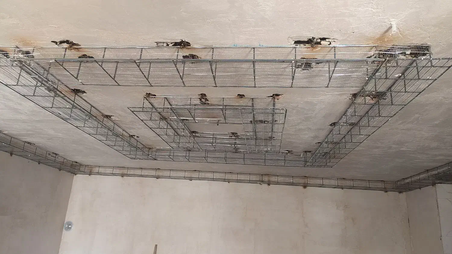 راویزکاری (رابیتس کاری)به بهترین شرایط اسرع وقت|خدمات پیشه و مهارت|خوی, |دیوار