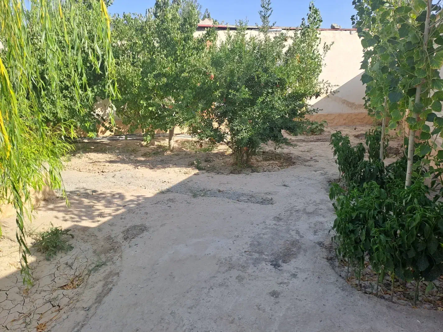 باغچه ۴۸۰ متری|فروش خانه و ویلا|ماهدشت, |دیوار