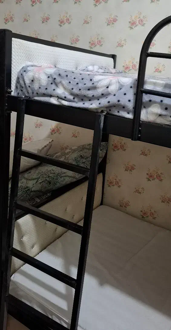 تخت دو طبقه و یک نفره|تخت و سرویس خواب|مشهد, حسین‌آباد|دیوار