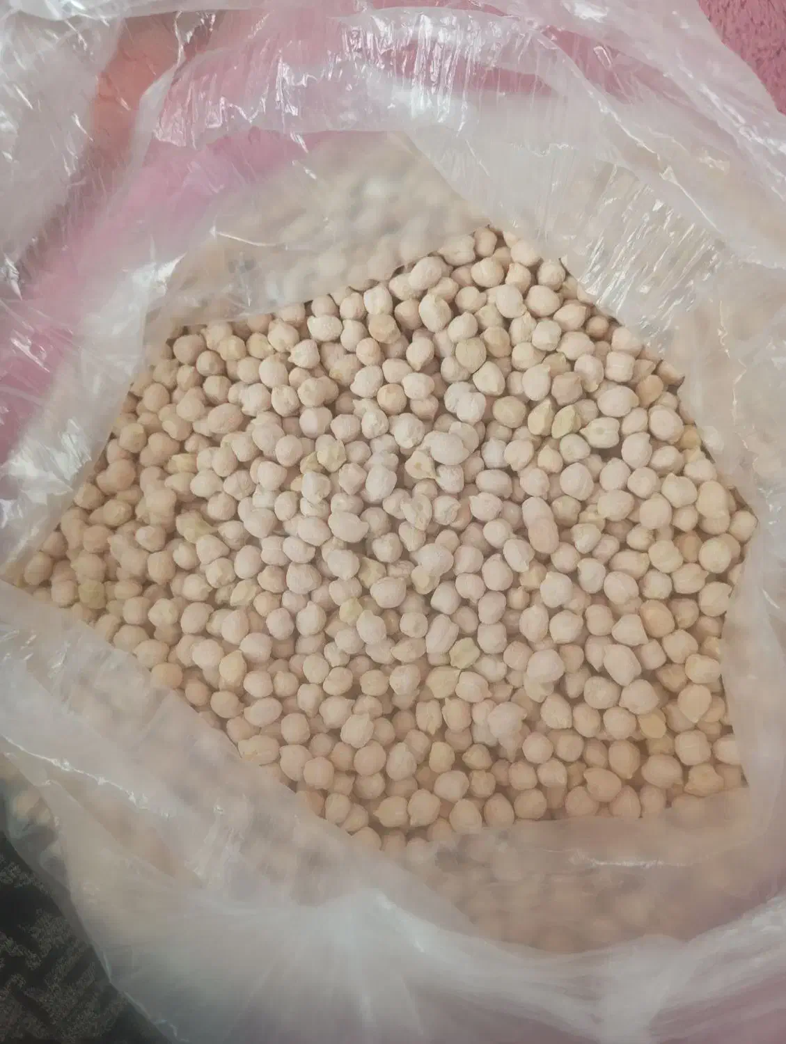 نخودمحلی|خوردنی و آشامیدنی|مرودشت, مجد آباد|دیوار