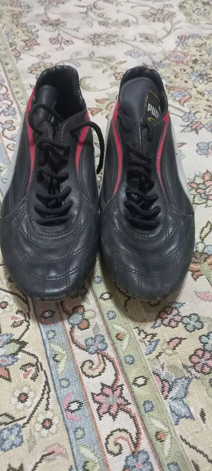 کفش فوتبالی ،چمن|کیف، کفش، کمربند|مشهد, شهید قربانی|دیوار