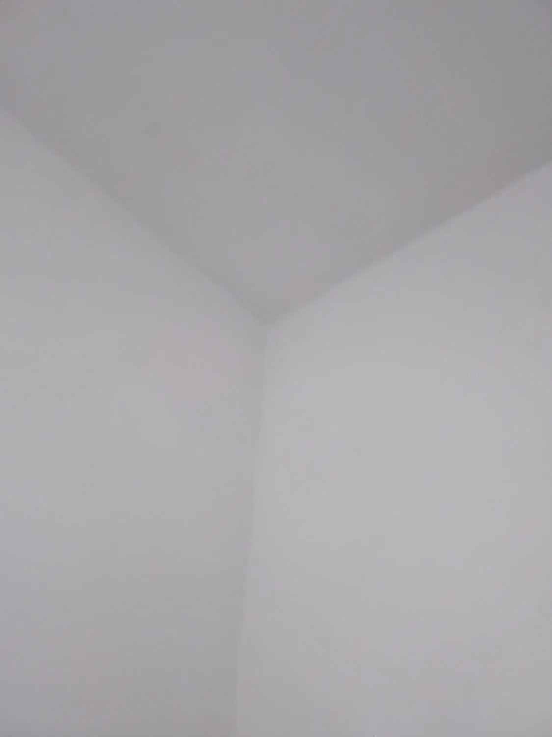 گچ کاری|خدمات پیشه و مهارت|رفسنجان, |دیوار