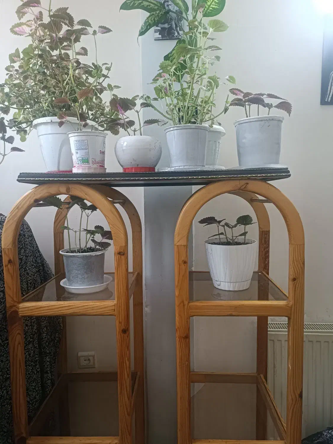 طبقه جنس چوب قدیمی|کتابخانه، شلف، قفسه‌های دیواری|گلبهار, شهر جدید گلبهار|دیوار