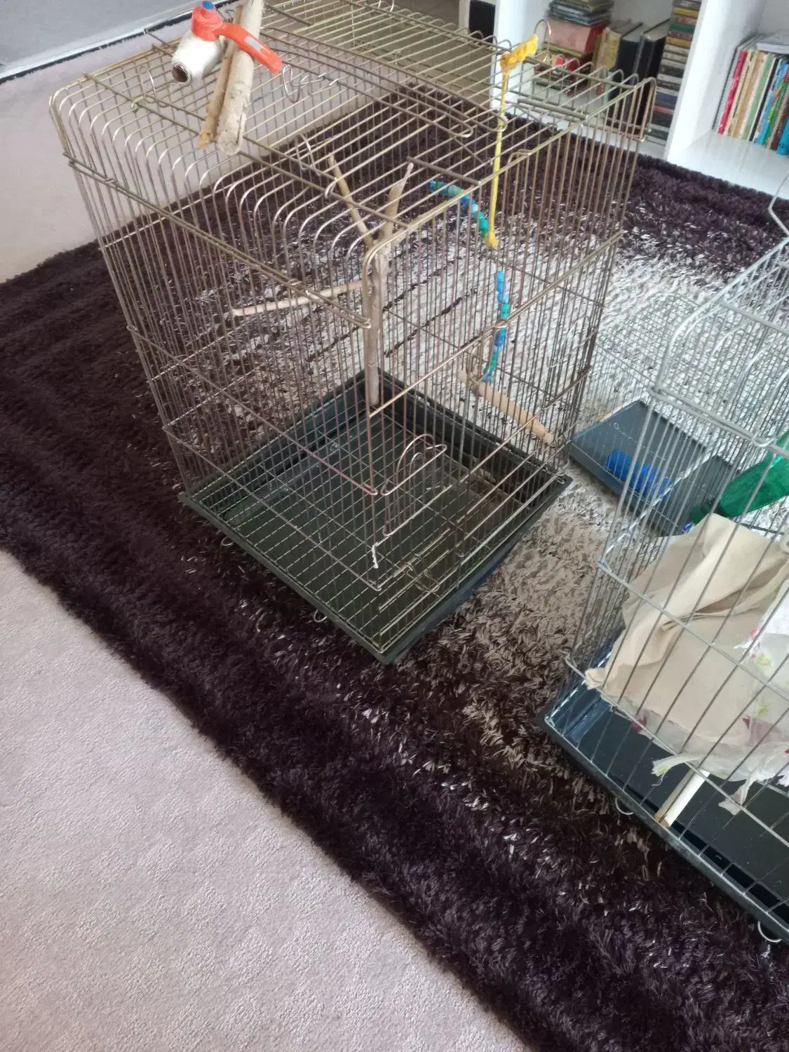 فروش قفسه پرنده|لوازم جانبی حیوانات|دره شهر, |دیوار