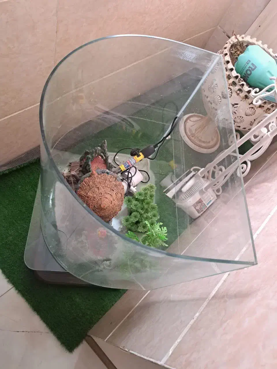 آکواریوم|ماهی|گرمدره, |دیوار