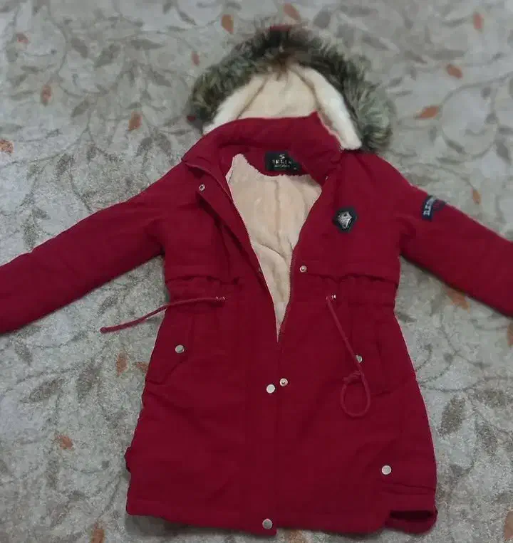 پالتو توخز|لباس|سقز, |دیوار