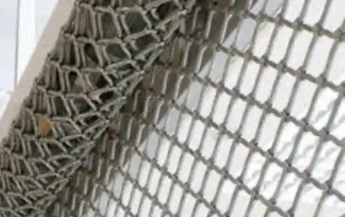 ۶۰ متر تجاری جردن فرعی پرتردد|اجارهٔ مغازه و غرفه|تهران, جردن|دیوار