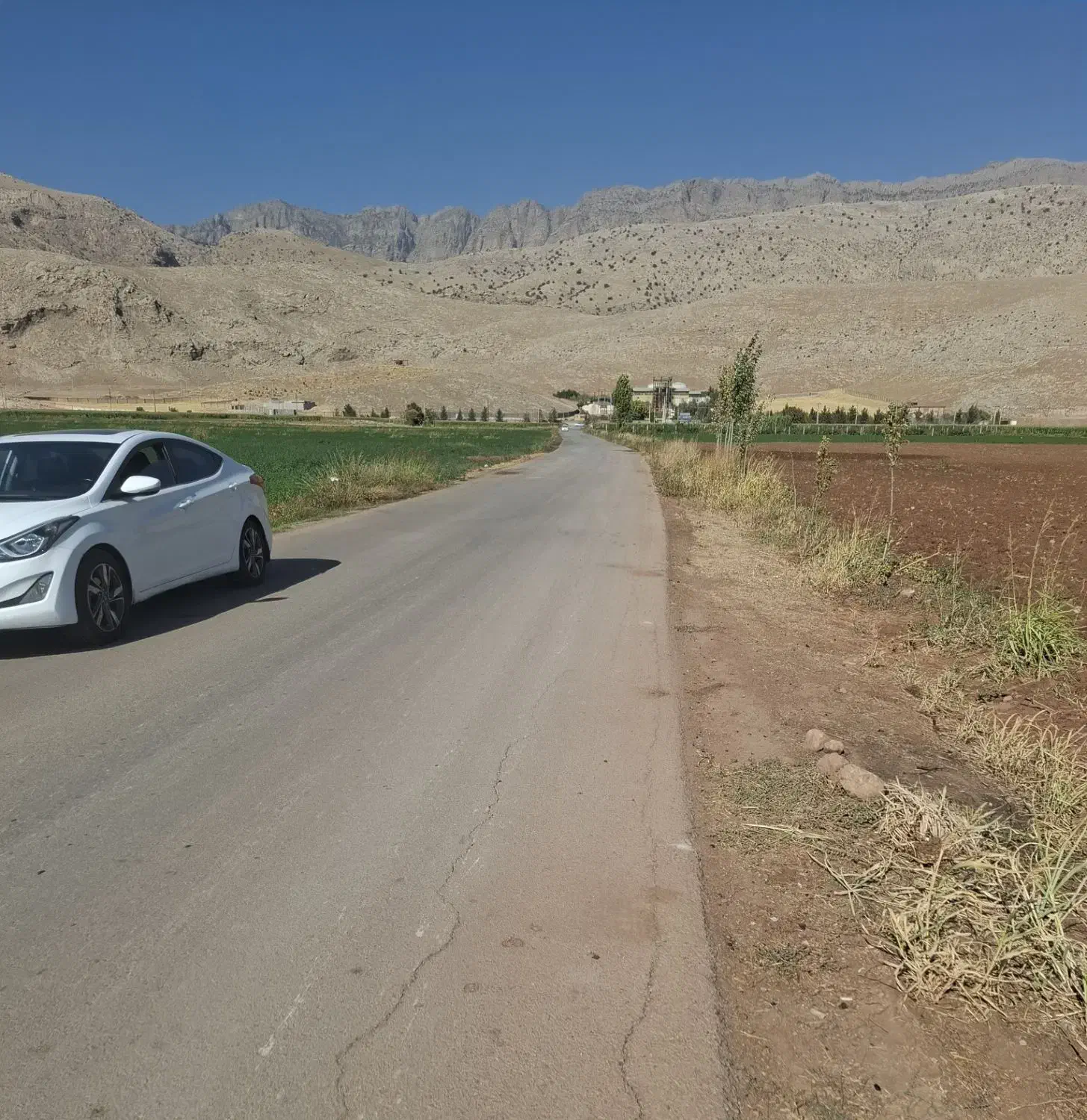 زمین کشاورزی آبی روبروی الکل سازی با موقعیت ممتاز|فروش دفتر صنعتی، کشاورزی، تجاری|خرم‌آباد, |دیوار