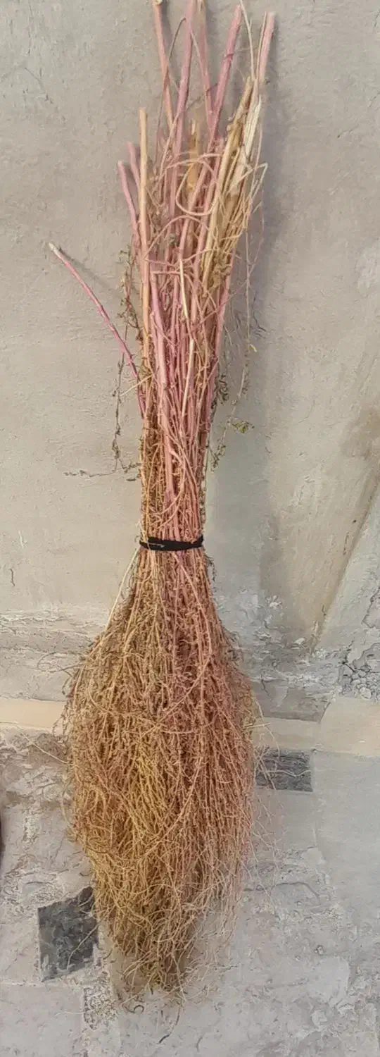 جارو|لوازم نظافت|خرمآباد, |دیوار