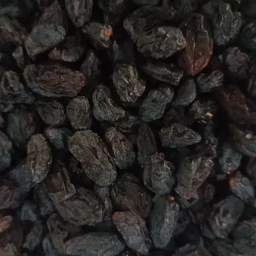 مویز سیاه درجه یک|خوردنی و آشامیدنی|شیراز, شهرک مدرس|دیوار