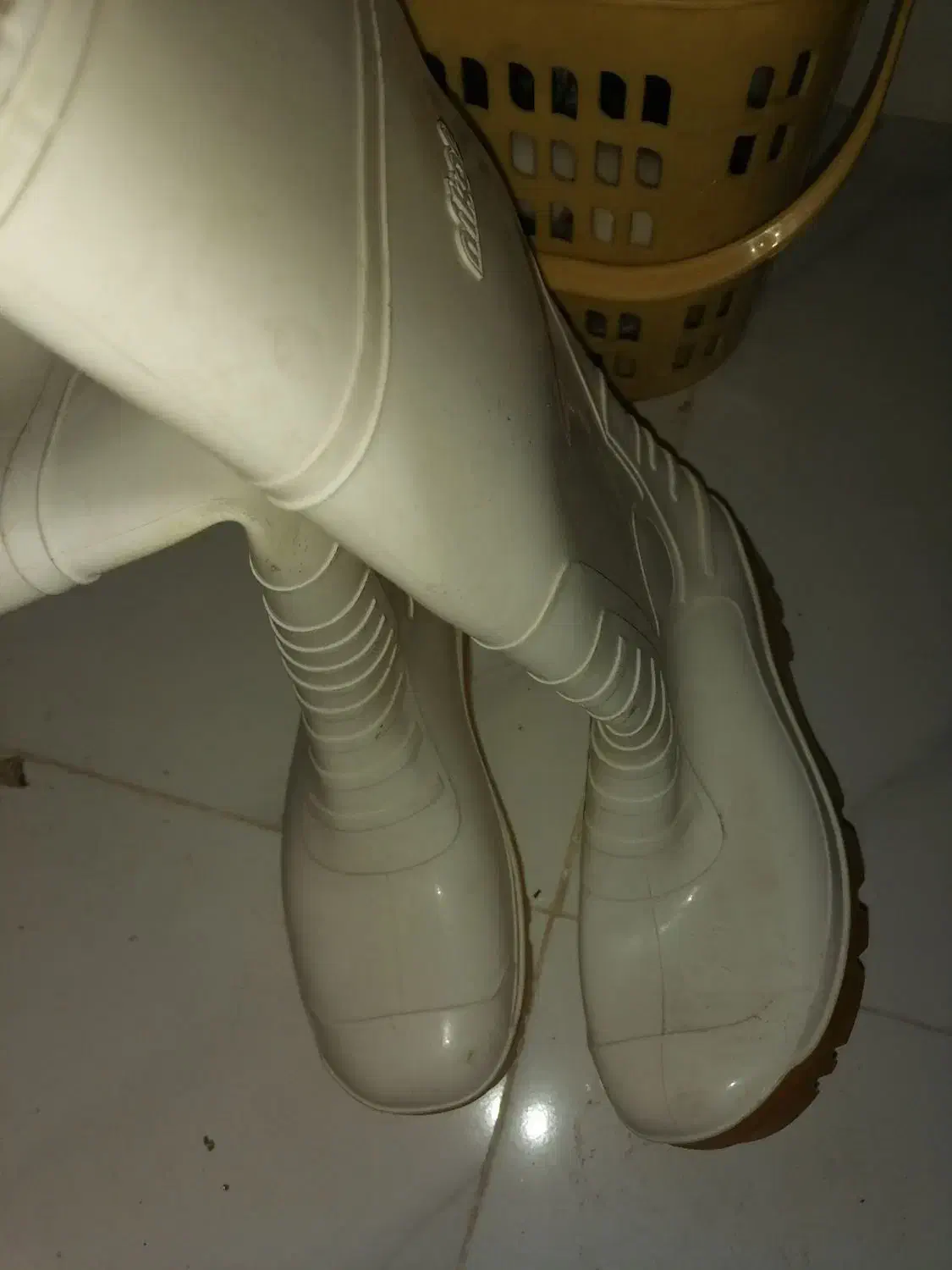 چکمه کار مواد اول|کیف، کفش، کمربند|اصفهان, پوریای ولی|دیوار