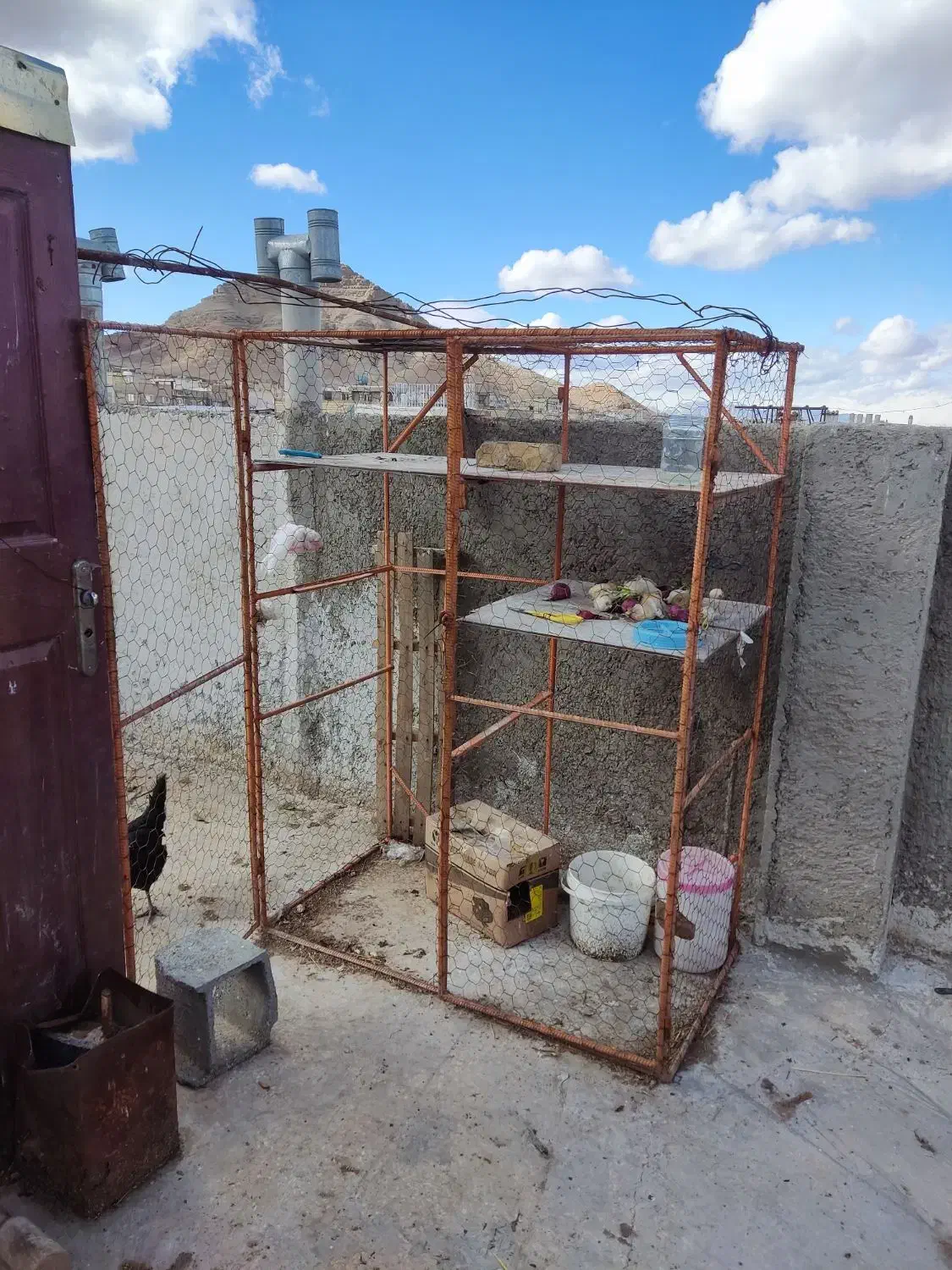 قفس کبوتر|لوازم جانبی حیوانات|اصفهان, قهجاورستان|دیوار