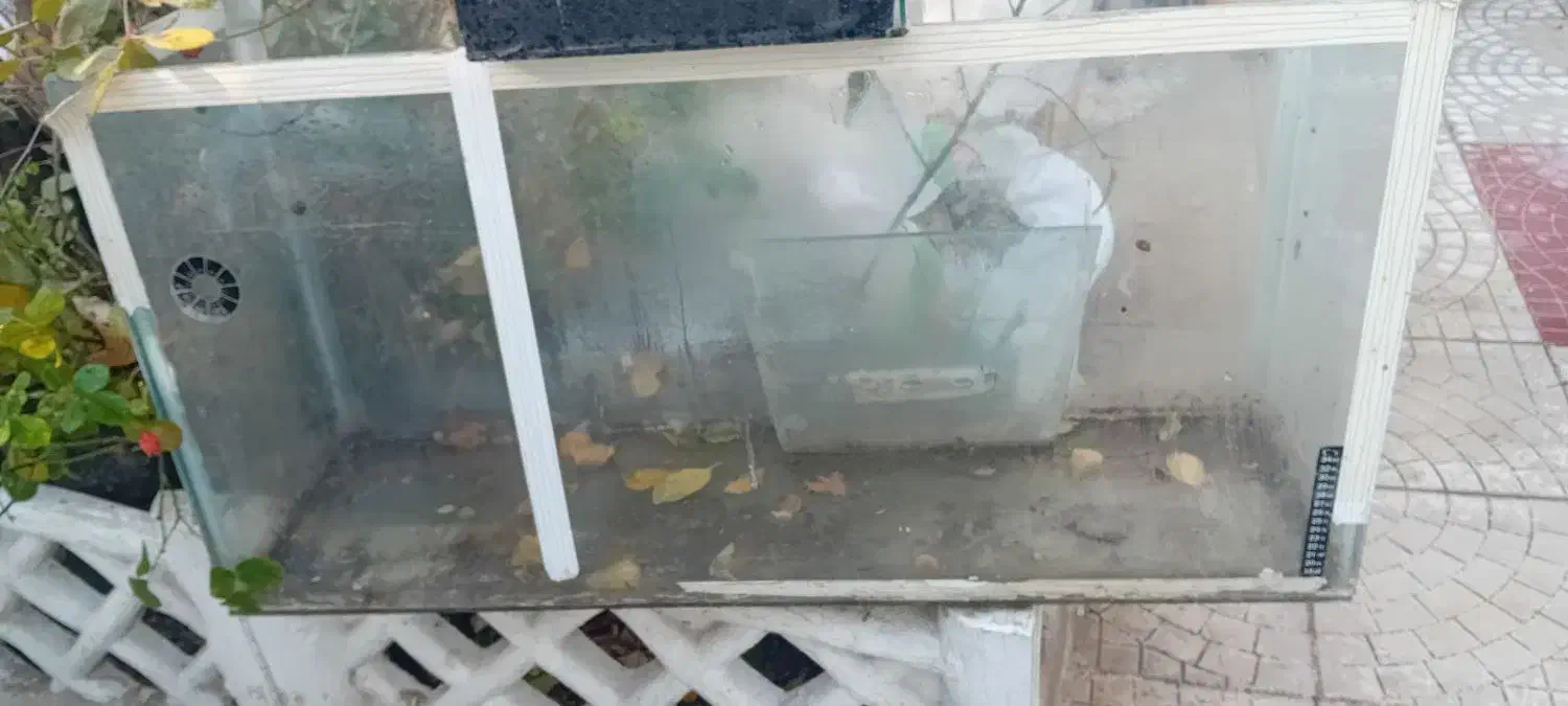 باربند پژو ۴۰۵ آردی روا و اکواریوم با لوازم و ماهی|ماهی|تبریز, |دیوار