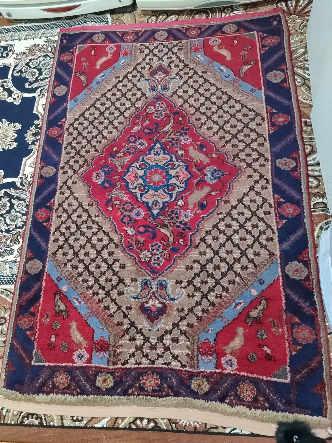 فرش دستباف قدیمی|فرش|کرمانشاه, |دیوار