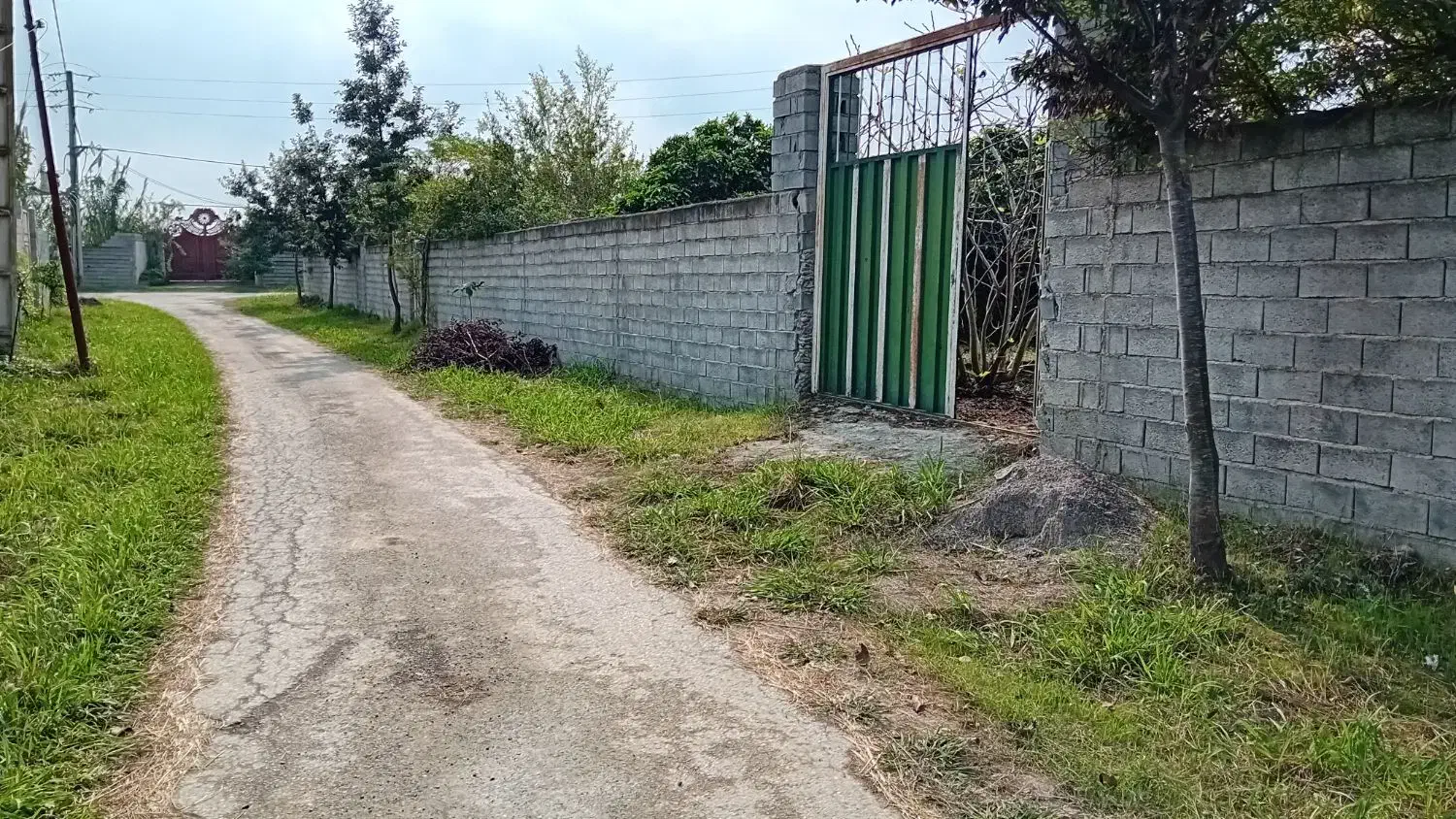 ۲۵۰ متر زمین داخل بافت|فروش زمین و ملک کلنگی|زرگرشهر, |دیوار