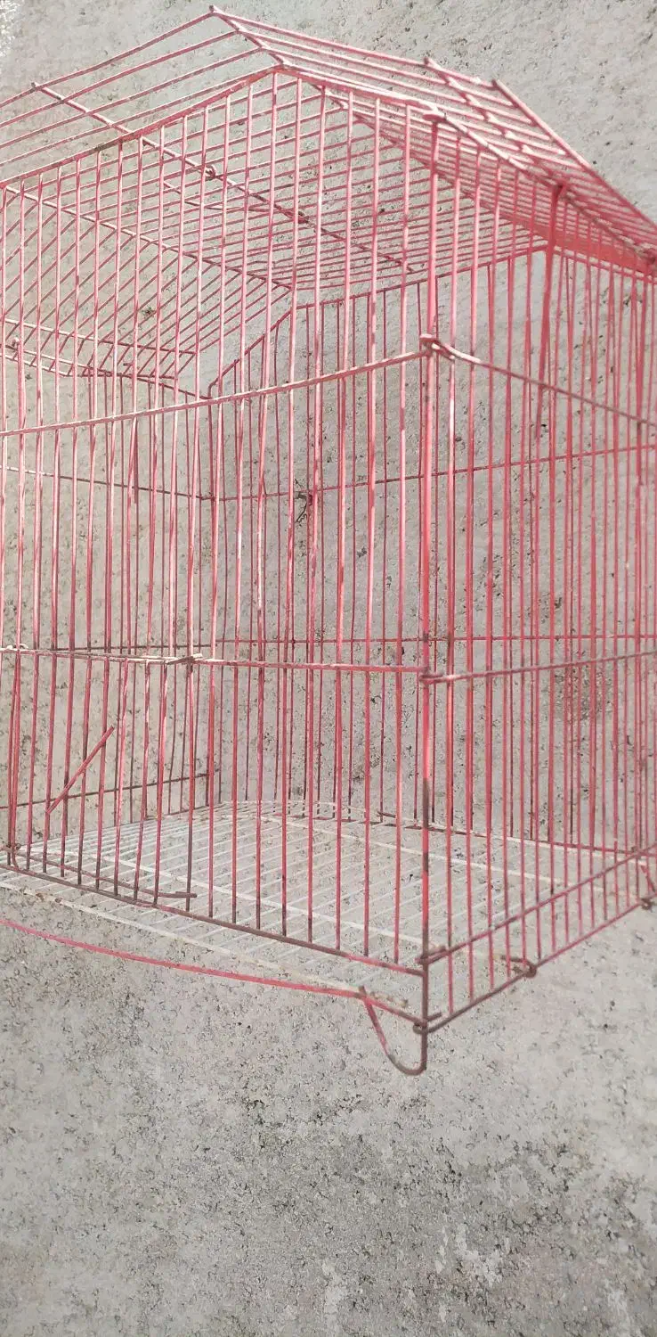 قفس پرنده|لوازم جانبی حیوانات|جهرم, |دیوار