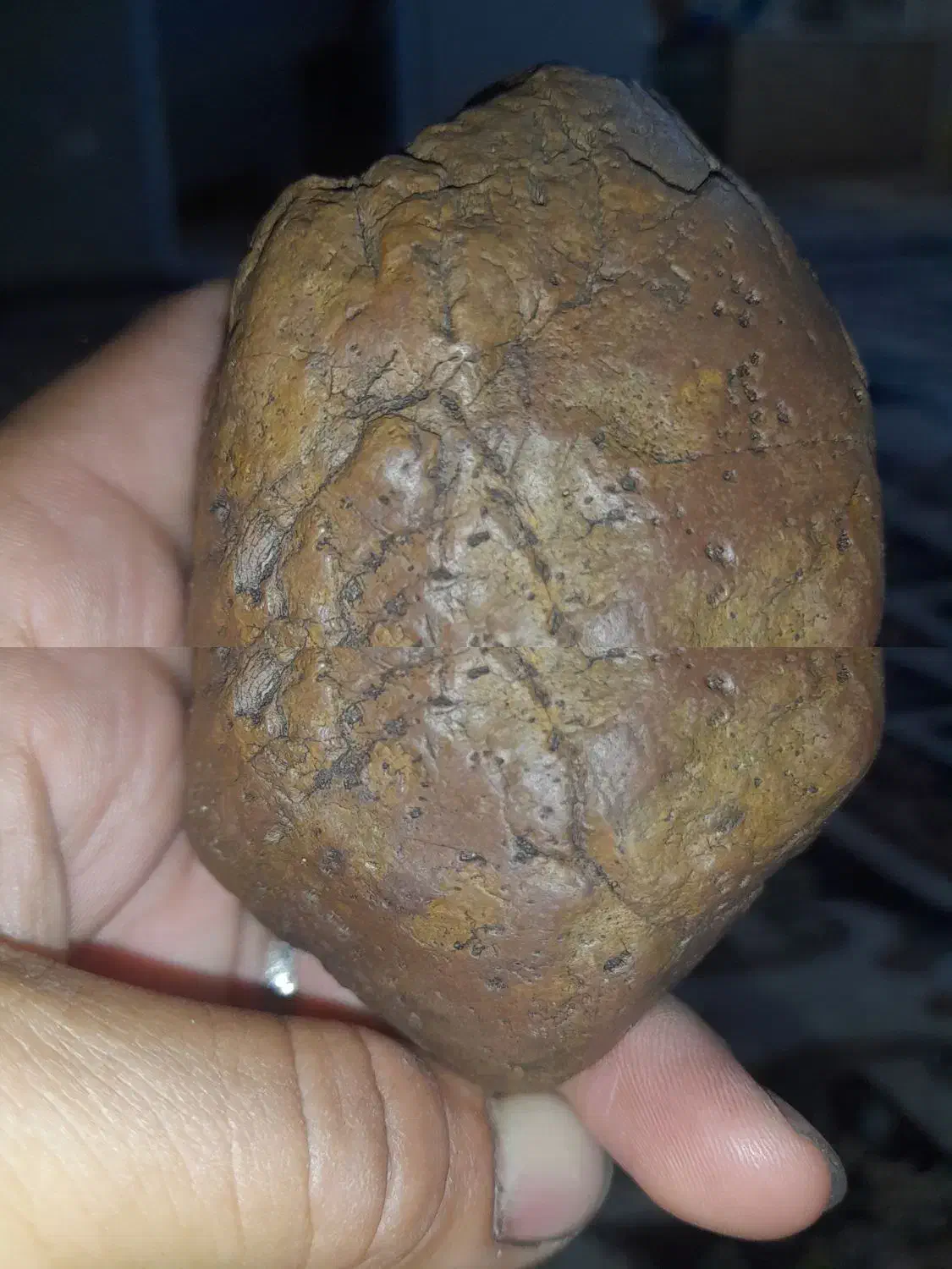 همه نوع شهابسنگ.|جواهرات|زنجانرود, |دیوار