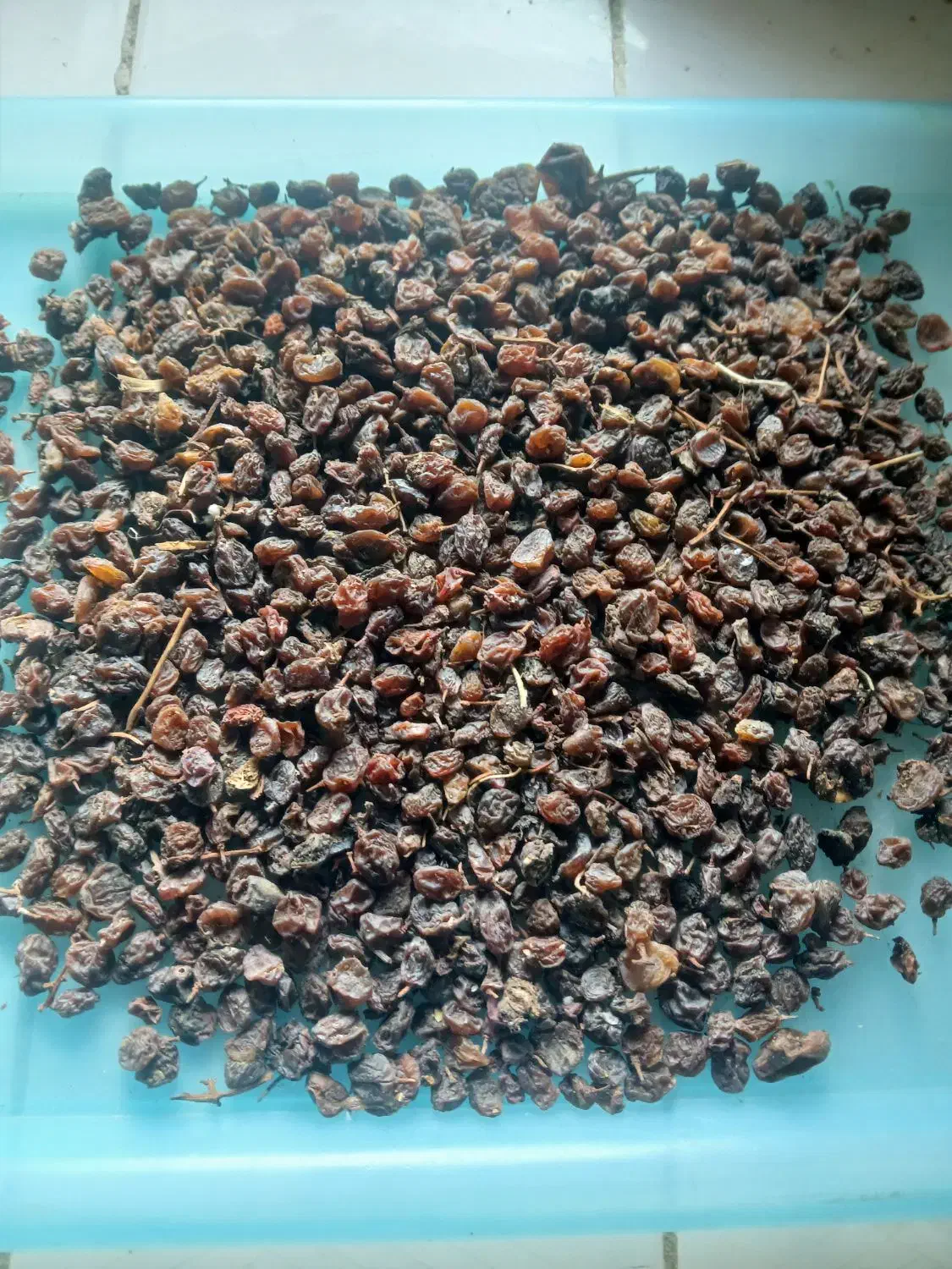 کشمش|خوردنی و آشامیدنی|بکتاش, |دیوار