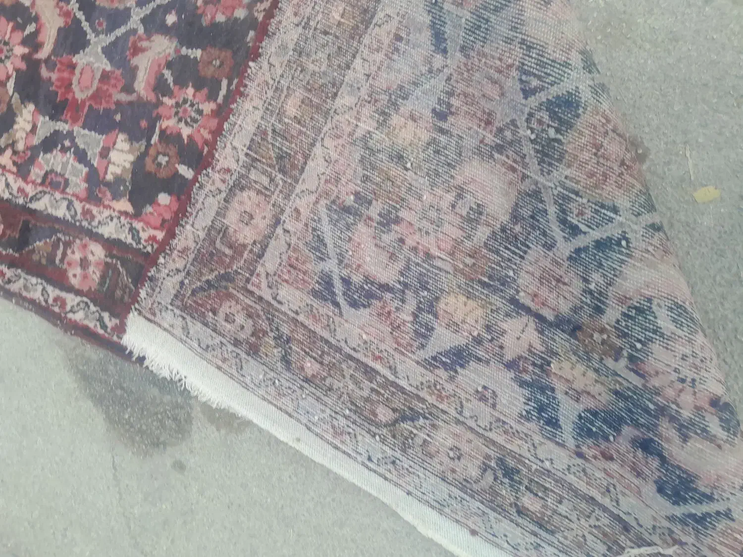 فرشهای کهنه دستبافت شمارامعامله میکنیم|فرش|همدان, |دیوار