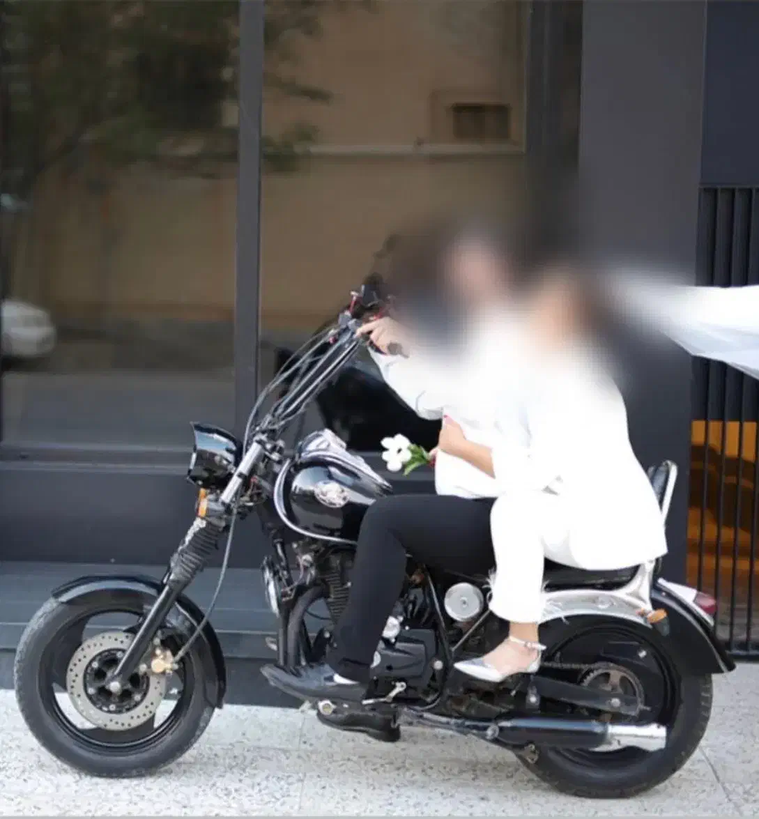 هارلی کلکسیونی|موتورسیکلت|بیرجند, |دیوار