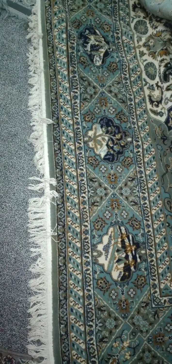 قالی 12متری|فرش|اهواز, کوی ملی راه|دیوار