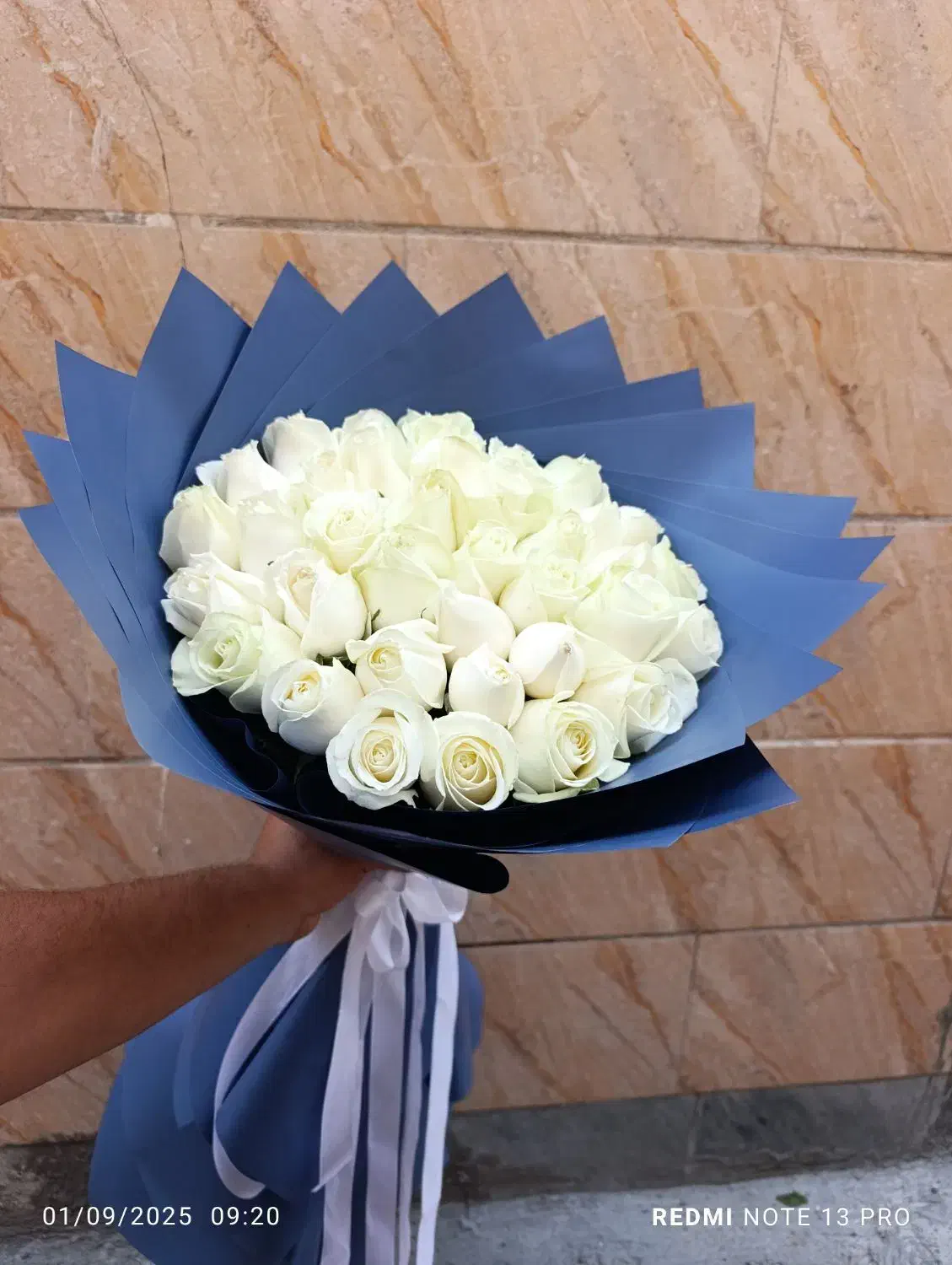 گل رز هلندی به قیمت گلخانه|گل و گیاه طبیعی|ری, بازار گل خاوران|دیوار