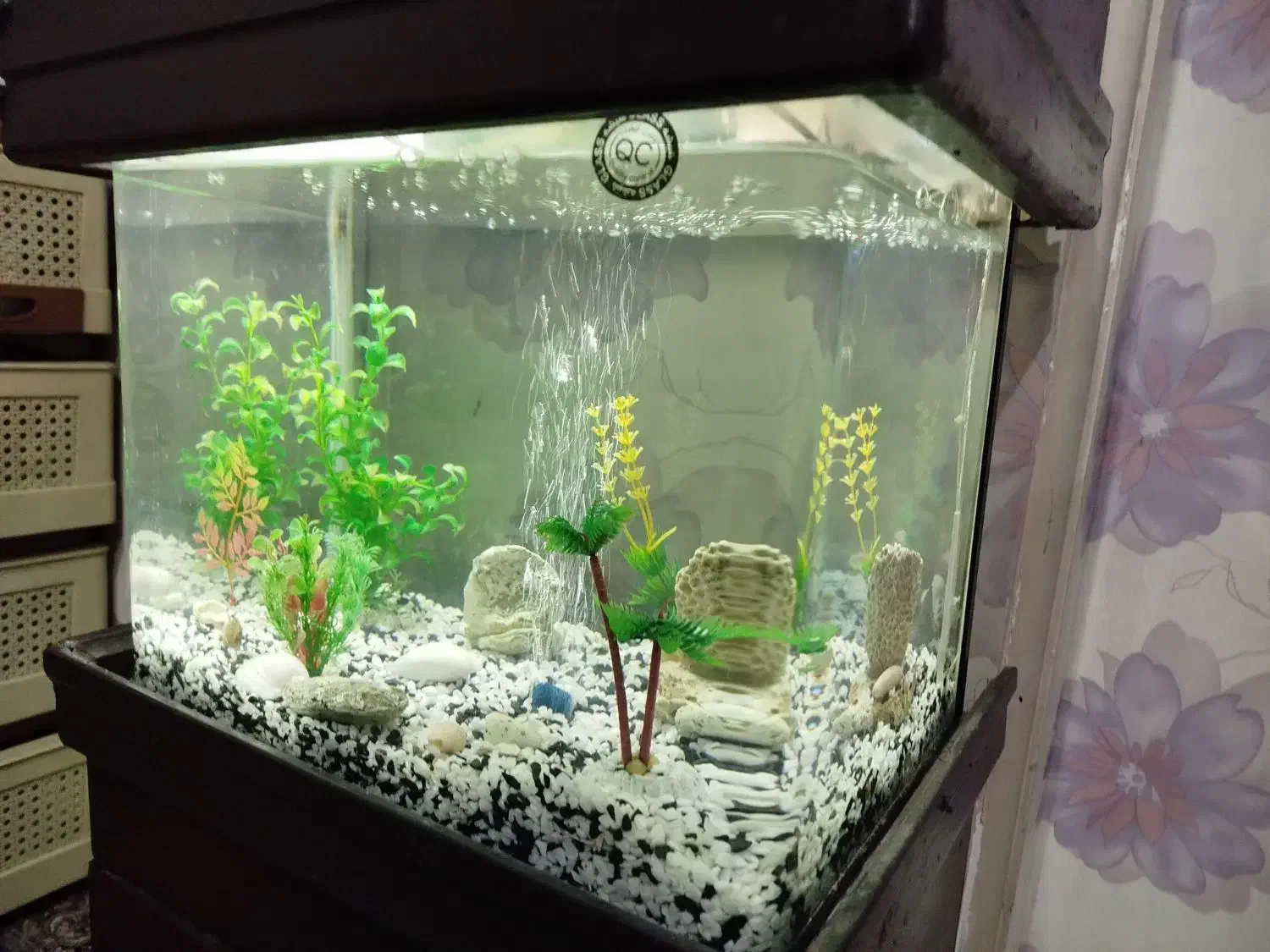 آکواریوم شیشه خم|ماهی|تهران, تهرانسر شمالی|دیوار