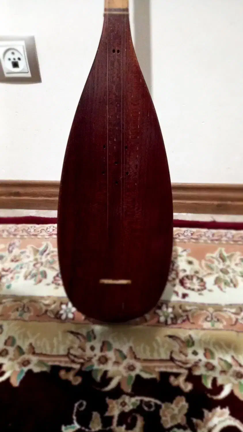 تنبوراستاد افشین کرند|سازهای سنتی|همدان, |دیوار