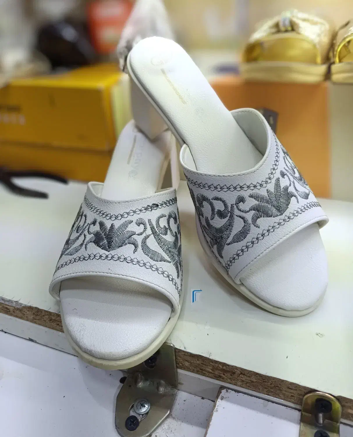 دمپای مجلسی|کیف، کفش، کمربند|مریوان, |دیوار