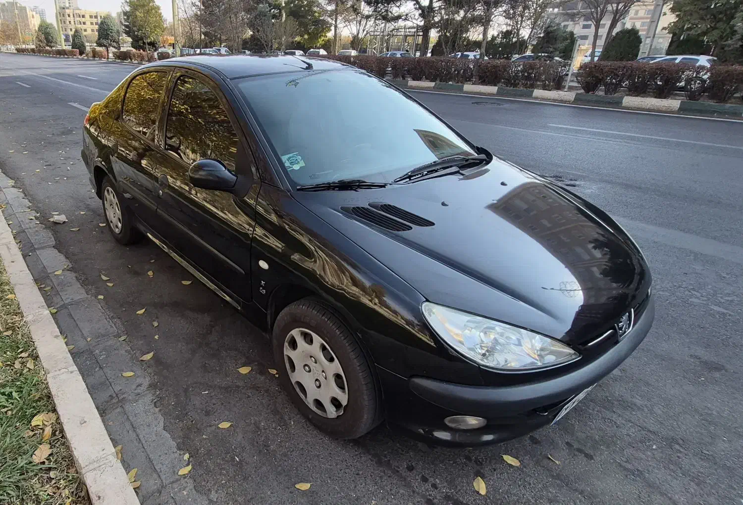 206SD V8|خودرو سواری و وانت|تهران, باغ فیض|دیوار