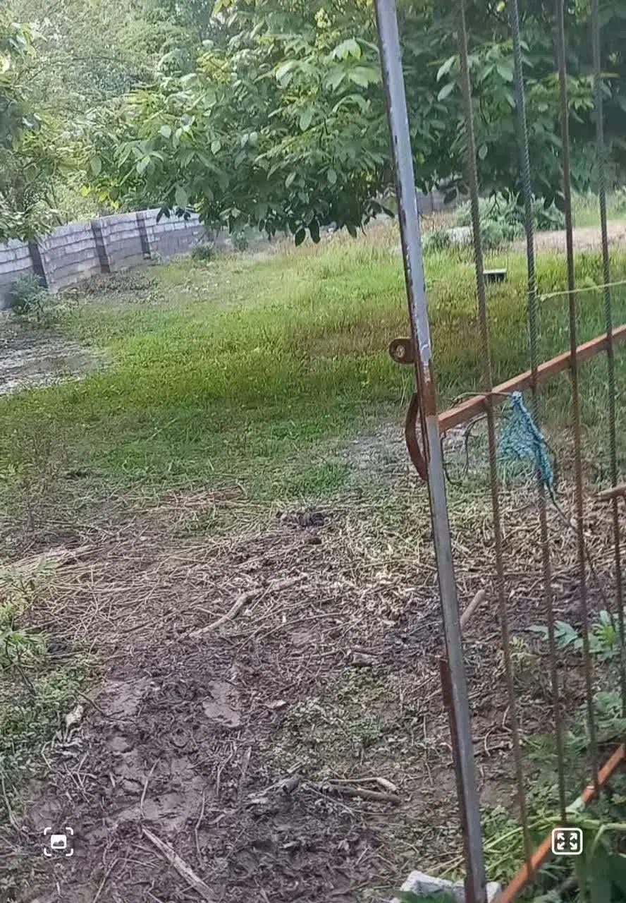 زمین|فروش زمین و ملک کلنگی|ضیابر, |دیوار