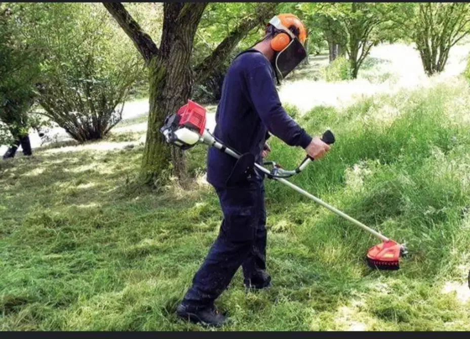 چمن زنی با دستگاه  و جوشکاری.|خدمات باغبانی و درختکاری|تهران, والفجر (افسریه)|دیوار