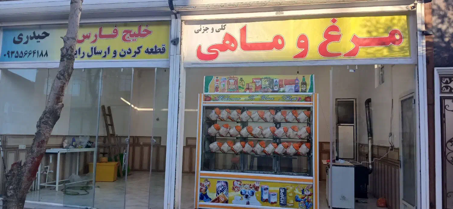 پاکترین مرغ ماهی فروشی شهر|ماهی|نورآباد, |دیوار